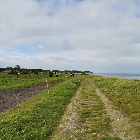 Ferienhaus 6 Person In Nordborg-by Traum